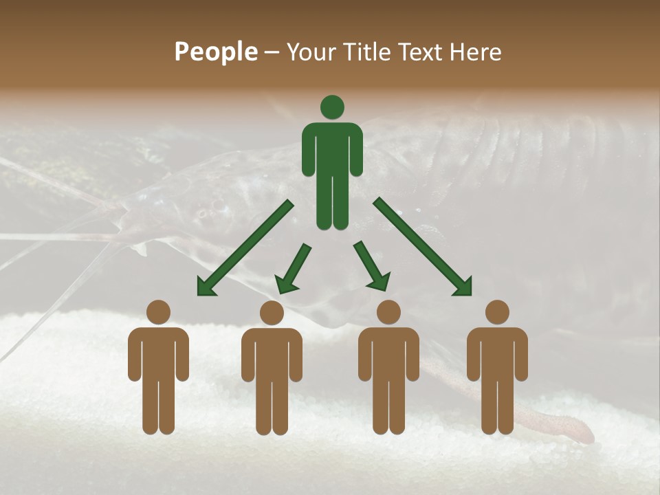 Bulb Lamp  PowerPoint Template