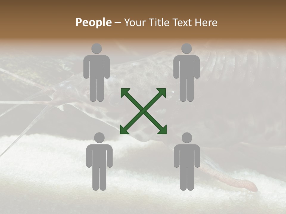 Bulb Lamp  PowerPoint Template