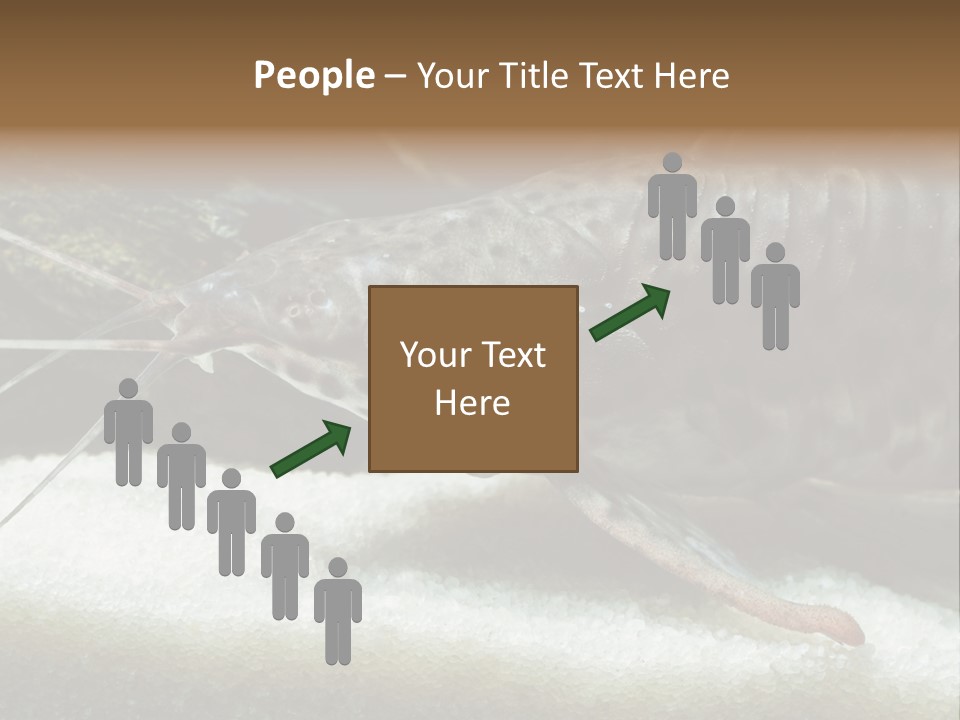 Bulb Lamp  PowerPoint Template