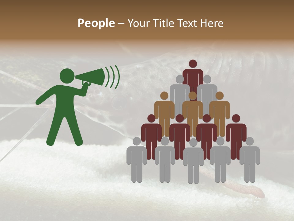 Bulb Lamp  PowerPoint Template