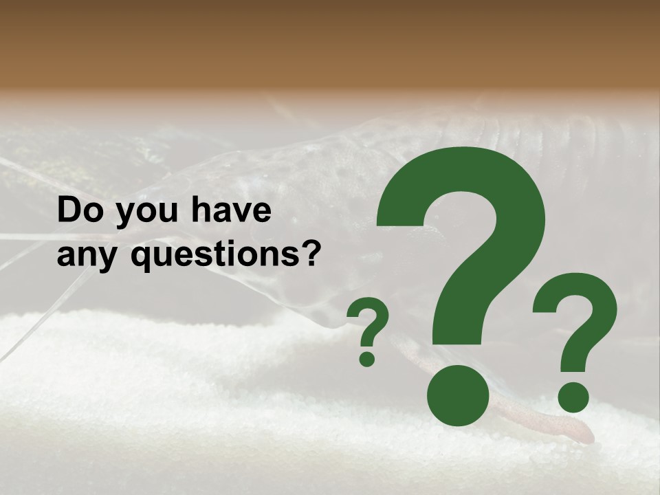 Bulb Lamp  PowerPoint Template