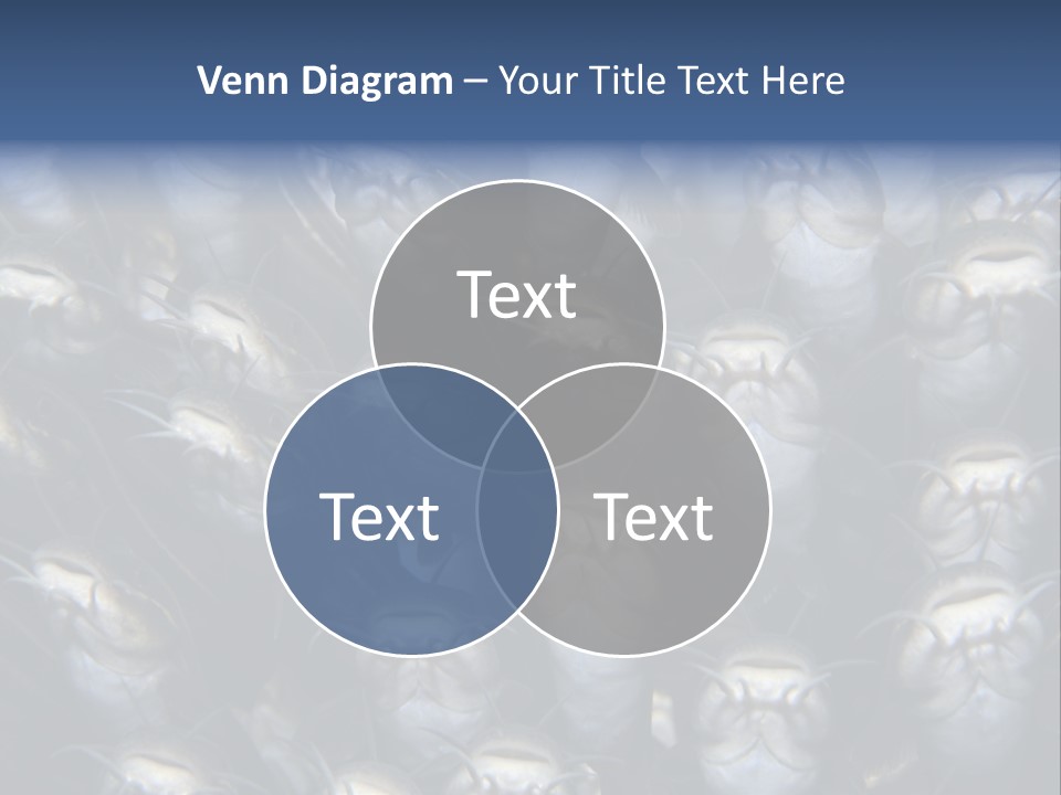 Write Lamp Creative PowerPoint Template