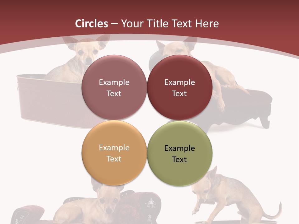 Technology Creativity Manager PowerPoint Template