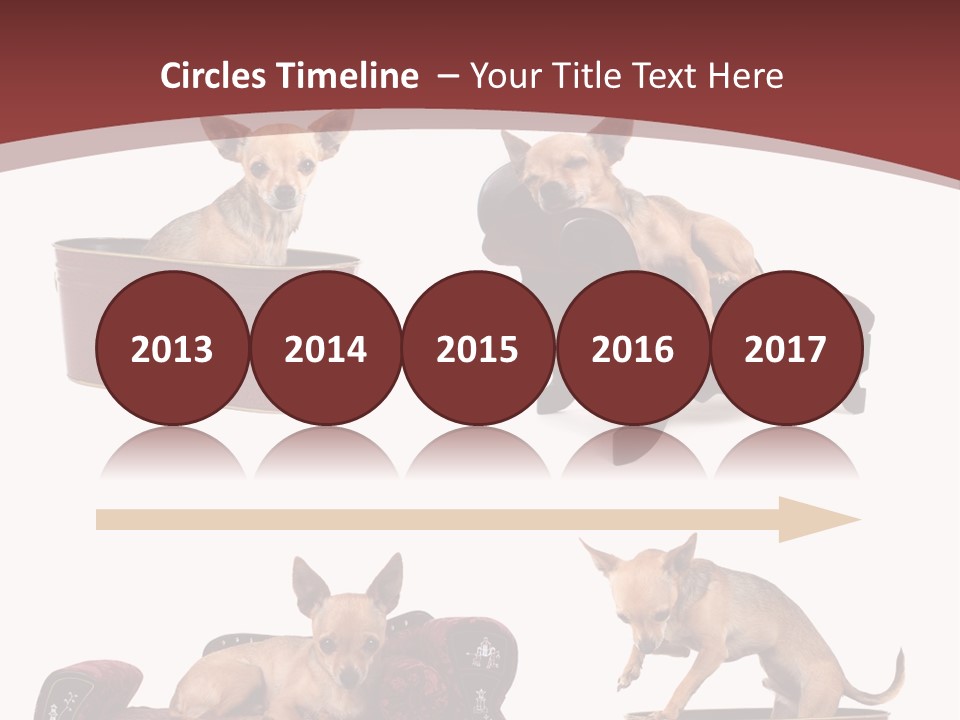 Technology Creativity Manager PowerPoint Template