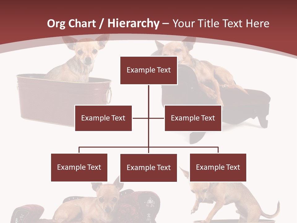 Technology Creativity Manager PowerPoint Template