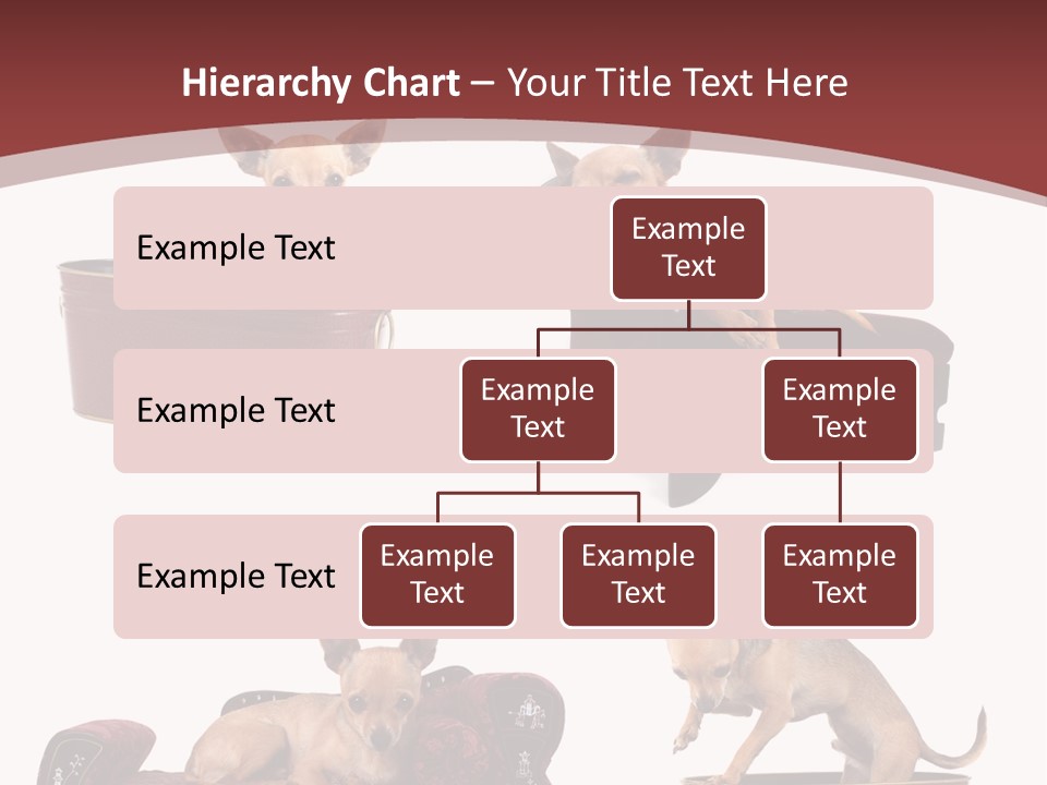 Technology Creativity Manager PowerPoint Template