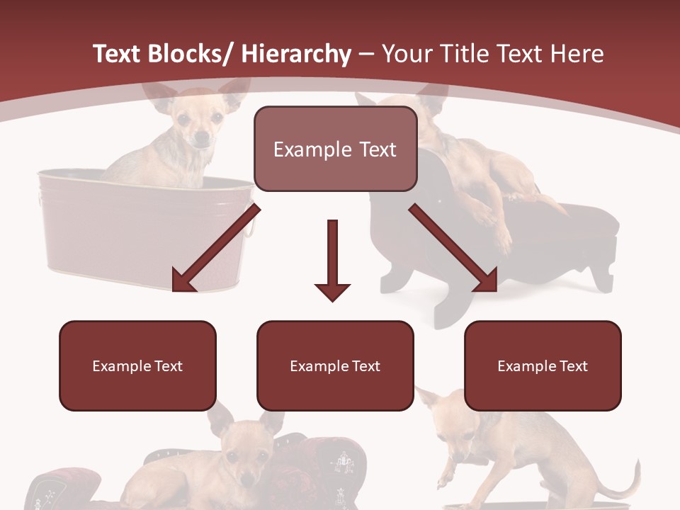 Technology Creativity Manager PowerPoint Template