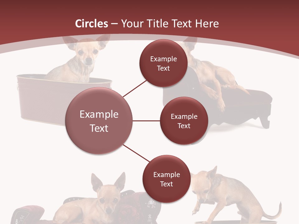 Technology Creativity Manager PowerPoint Template