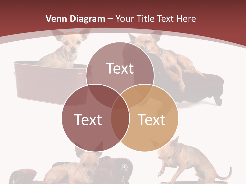 Technology Creativity Manager PowerPoint Template