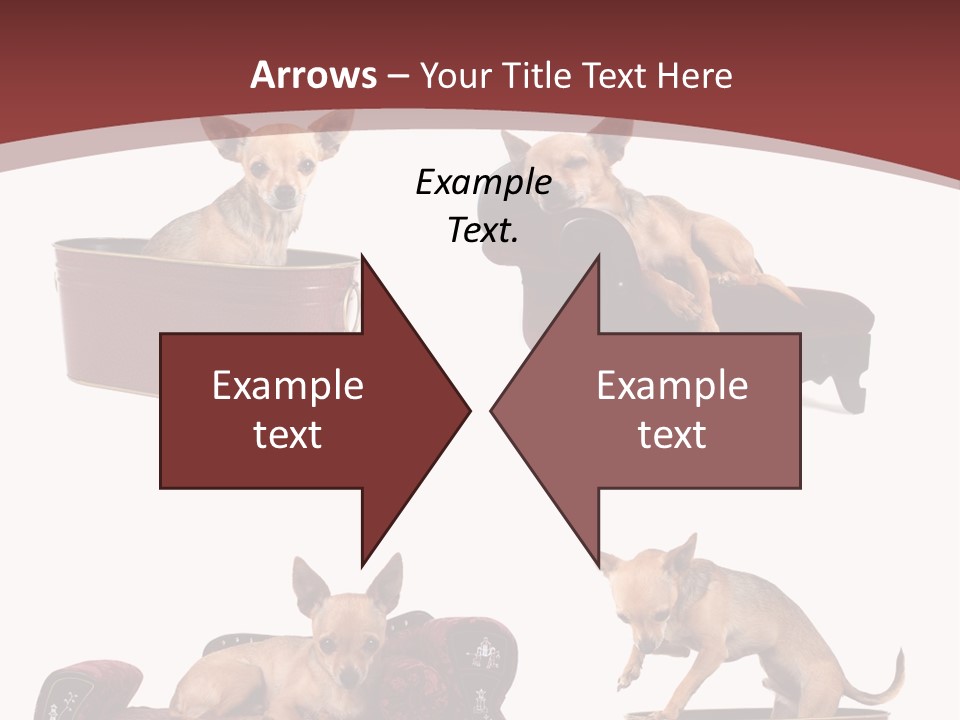 Technology Creativity Manager PowerPoint Template