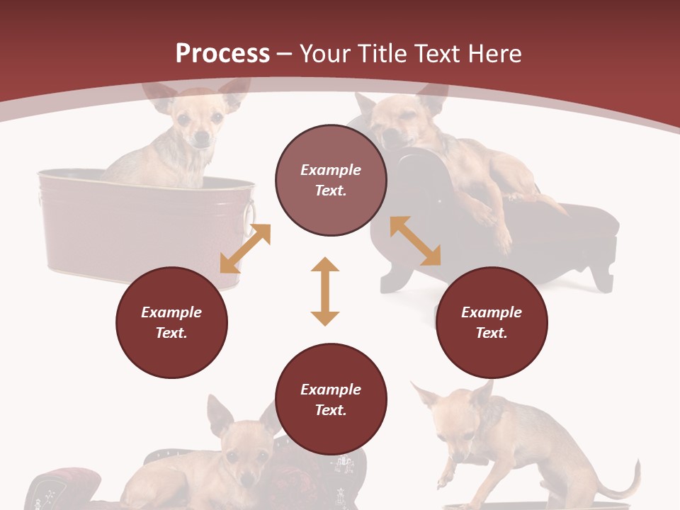 Technology Creativity Manager PowerPoint Template