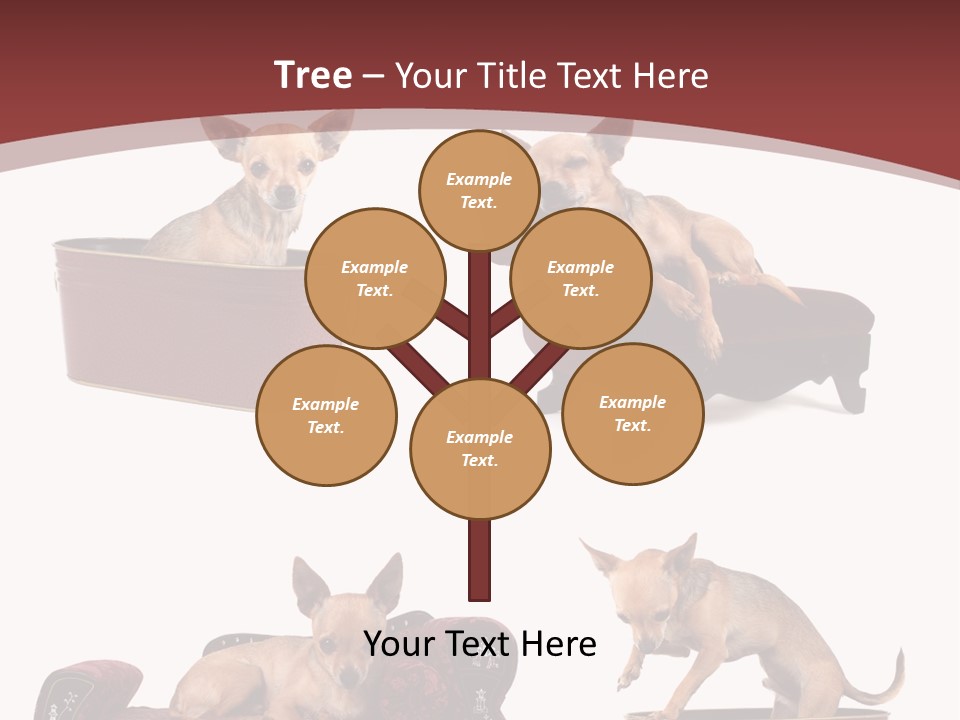 Technology Creativity Manager PowerPoint Template