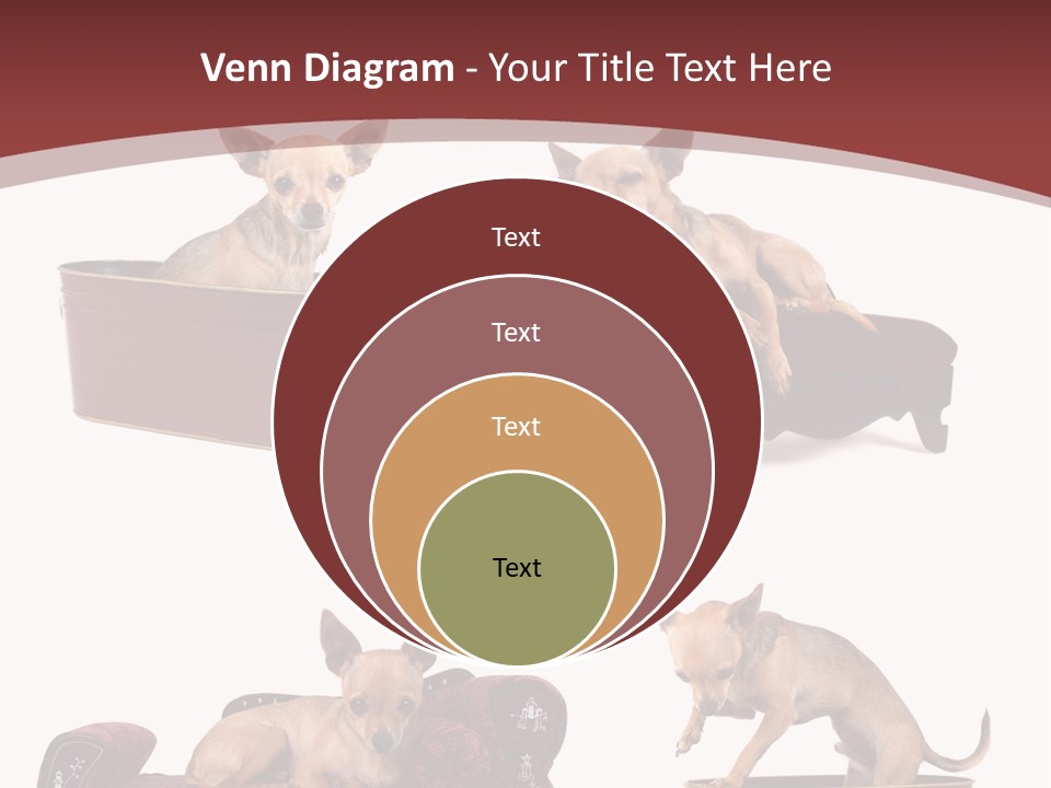 Technology Creativity Manager PowerPoint Template