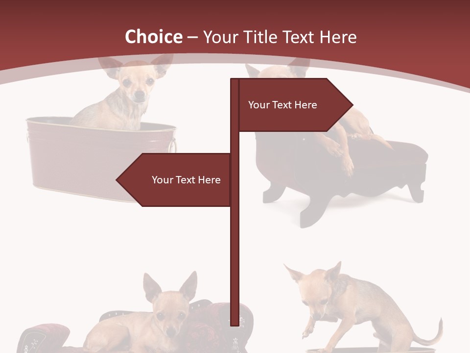 Technology Creativity Manager PowerPoint Template