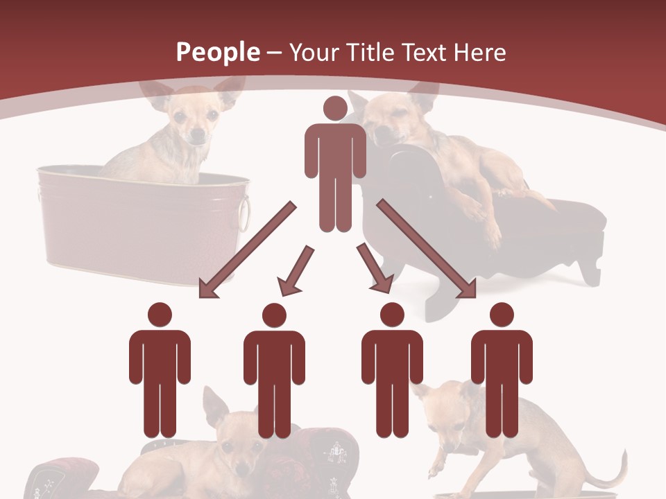 Technology Creativity Manager PowerPoint Template