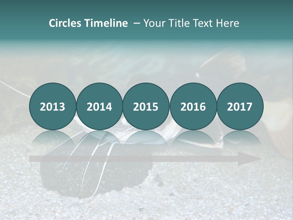 Teacher Creative Inspiration PowerPoint Template