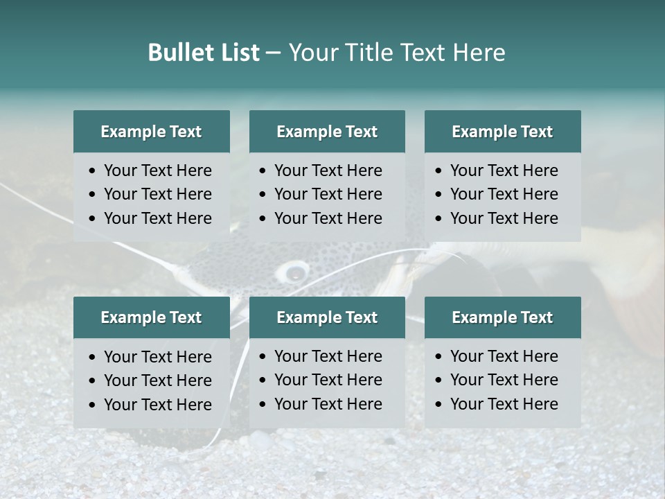 Teacher Creative Inspiration PowerPoint Template