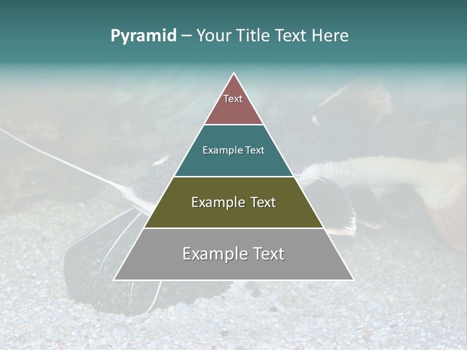 Teacher Creative Inspiration PowerPoint Template