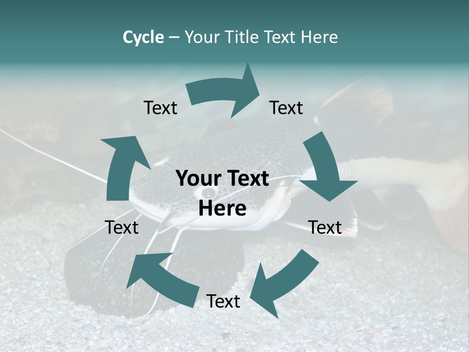 Teacher Creative Inspiration PowerPoint Template