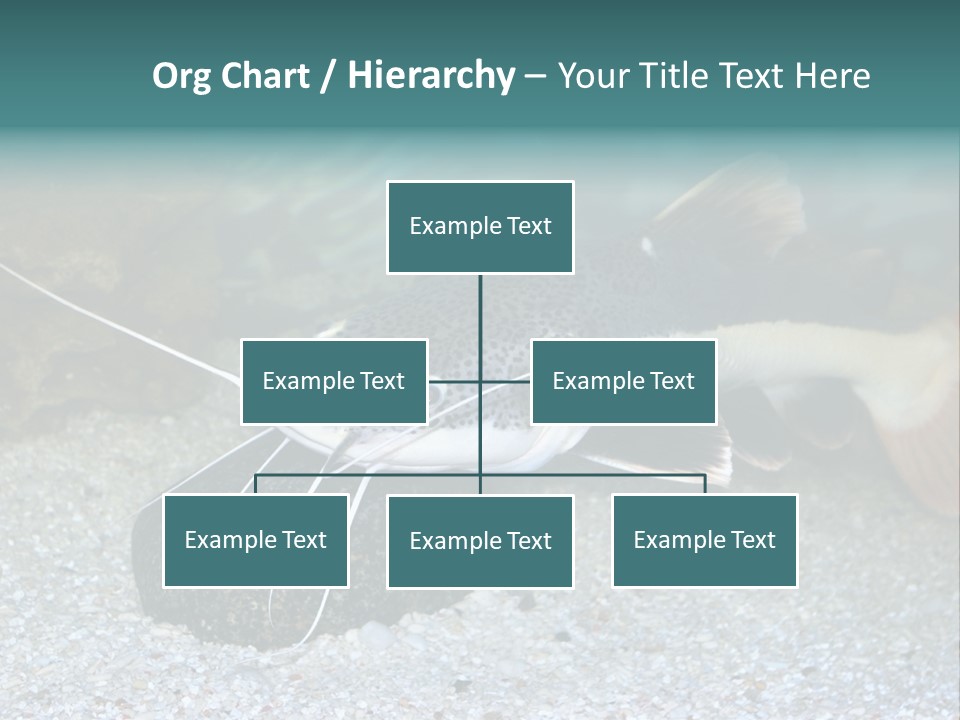 Teacher Creative Inspiration PowerPoint Template