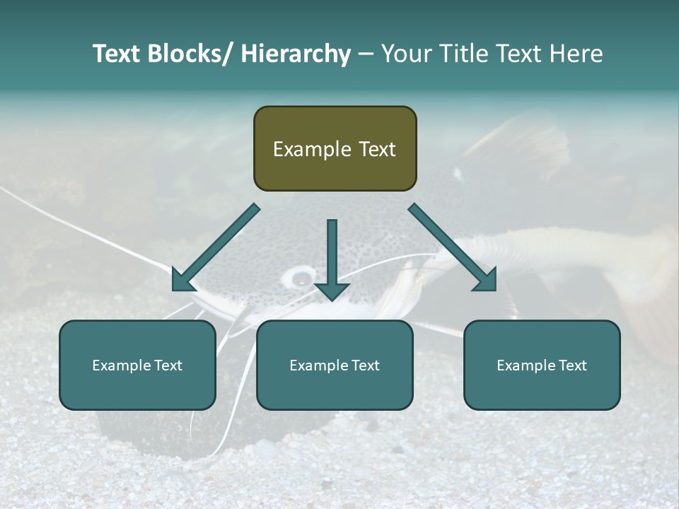 Teacher Creative Inspiration PowerPoint Template