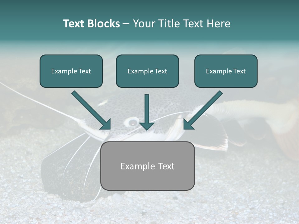 Teacher Creative Inspiration PowerPoint Template