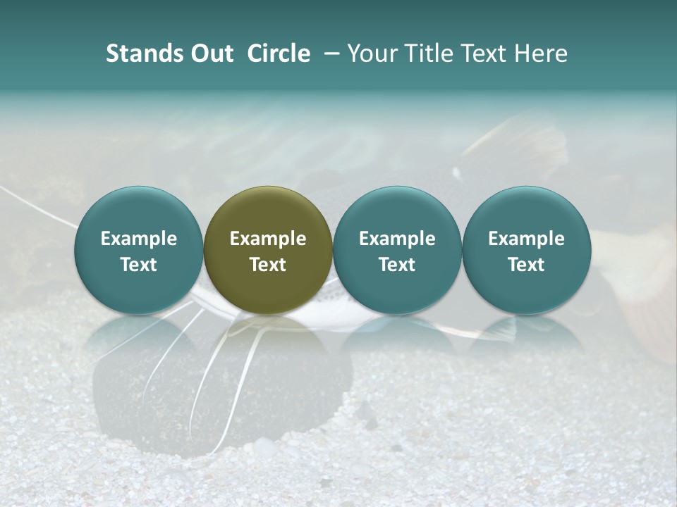 Teacher Creative Inspiration PowerPoint Template