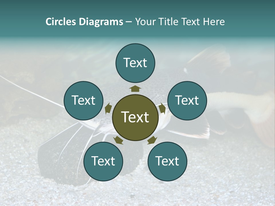 Teacher Creative Inspiration PowerPoint Template