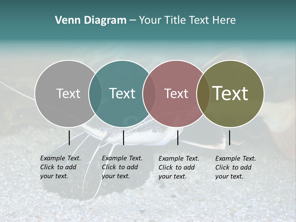 Teacher Creative Inspiration PowerPoint Template