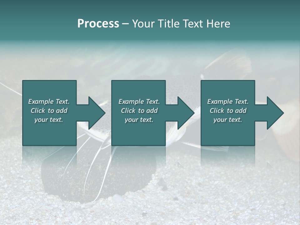 Teacher Creative Inspiration PowerPoint Template