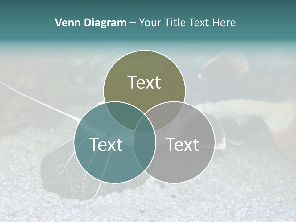 Teacher Creative Inspiration PowerPoint Template