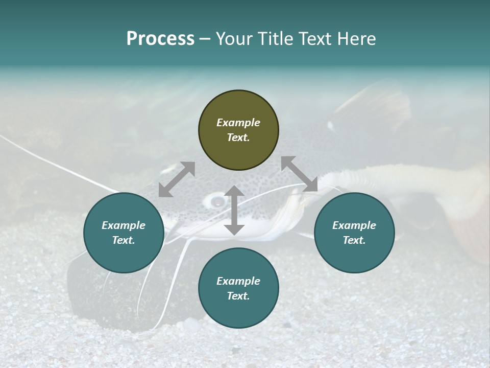 Teacher Creative Inspiration PowerPoint Template