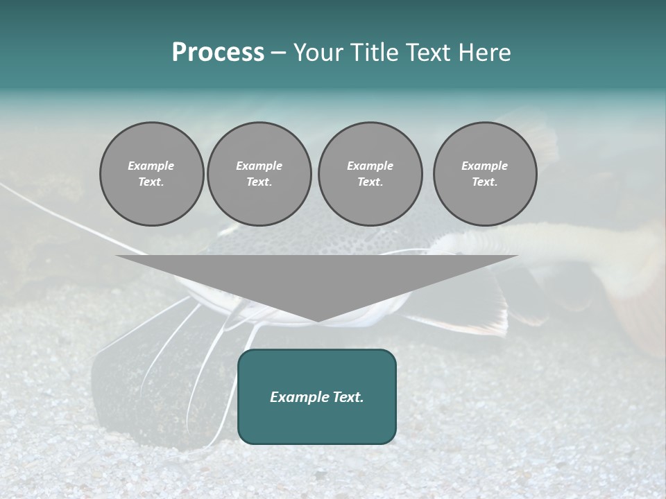 Teacher Creative Inspiration PowerPoint Template