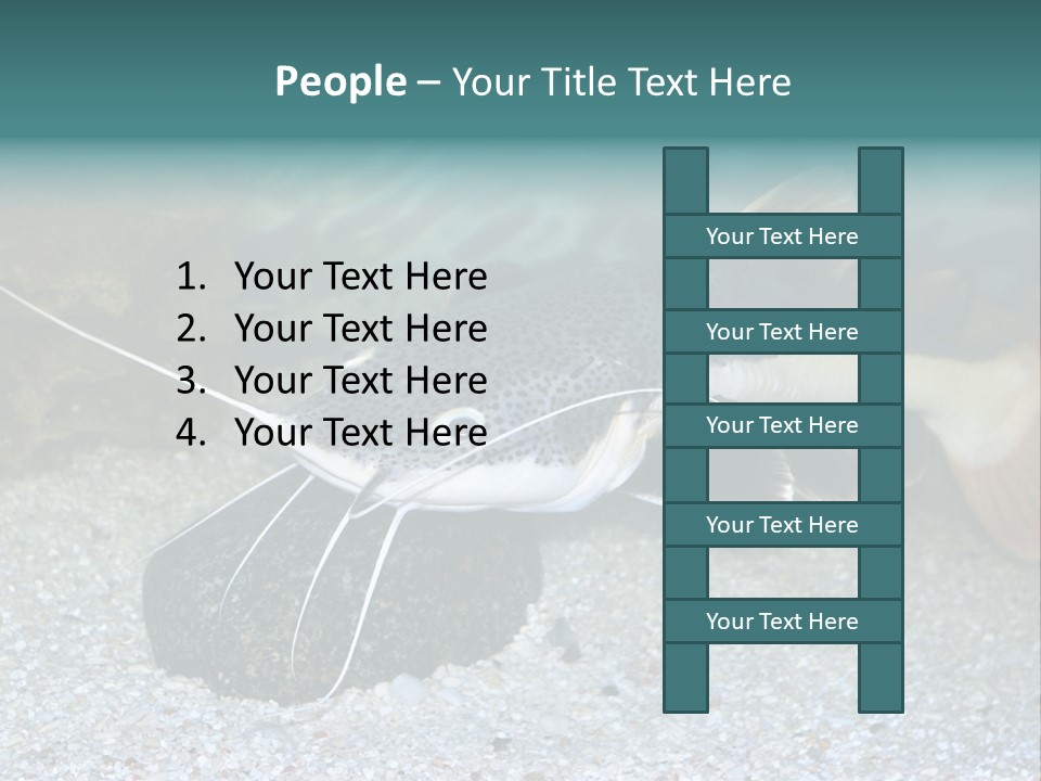 Teacher Creative Inspiration PowerPoint Template