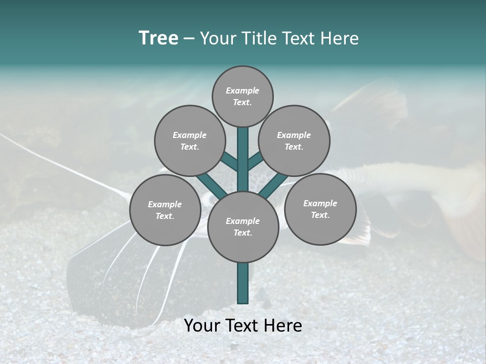 Teacher Creative Inspiration PowerPoint Template