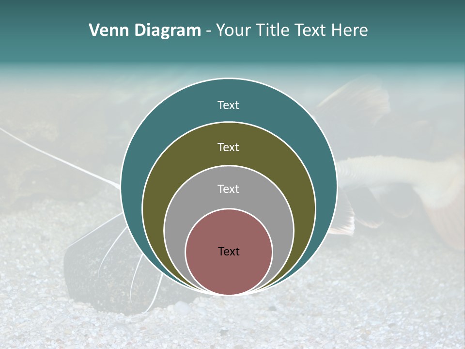 Teacher Creative Inspiration PowerPoint Template