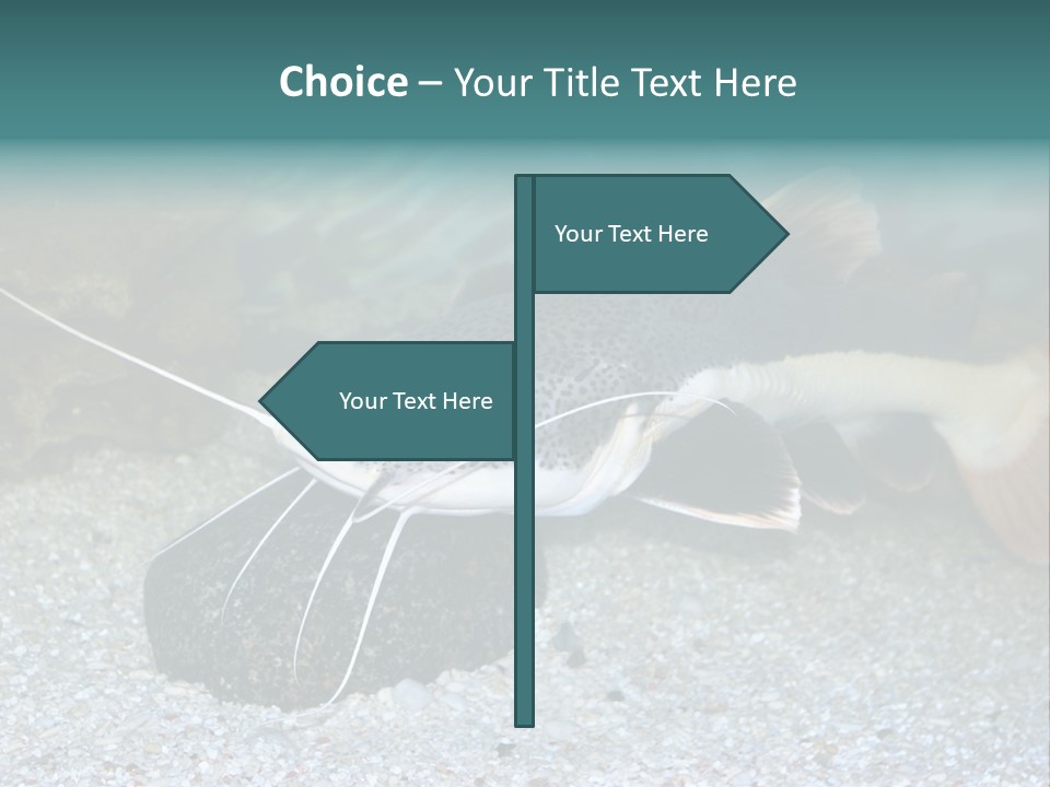 Teacher Creative Inspiration PowerPoint Template