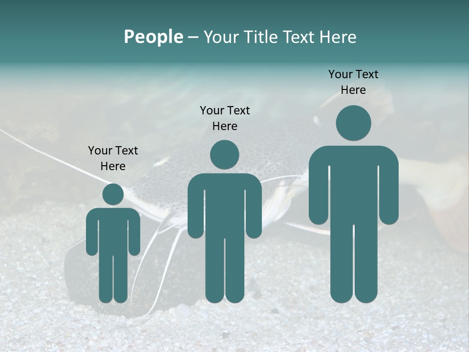 Teacher Creative Inspiration PowerPoint Template