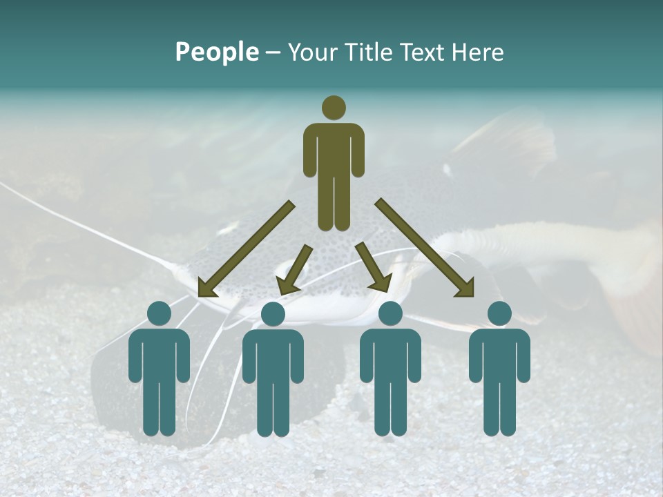 Teacher Creative Inspiration PowerPoint Template