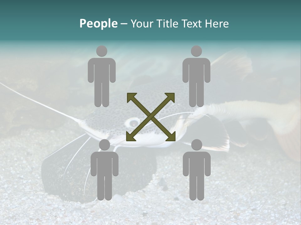 Teacher Creative Inspiration PowerPoint Template