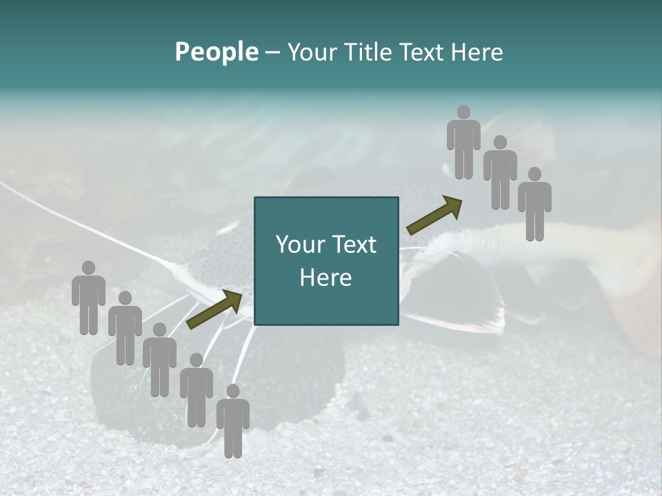 Teacher Creative Inspiration PowerPoint Template