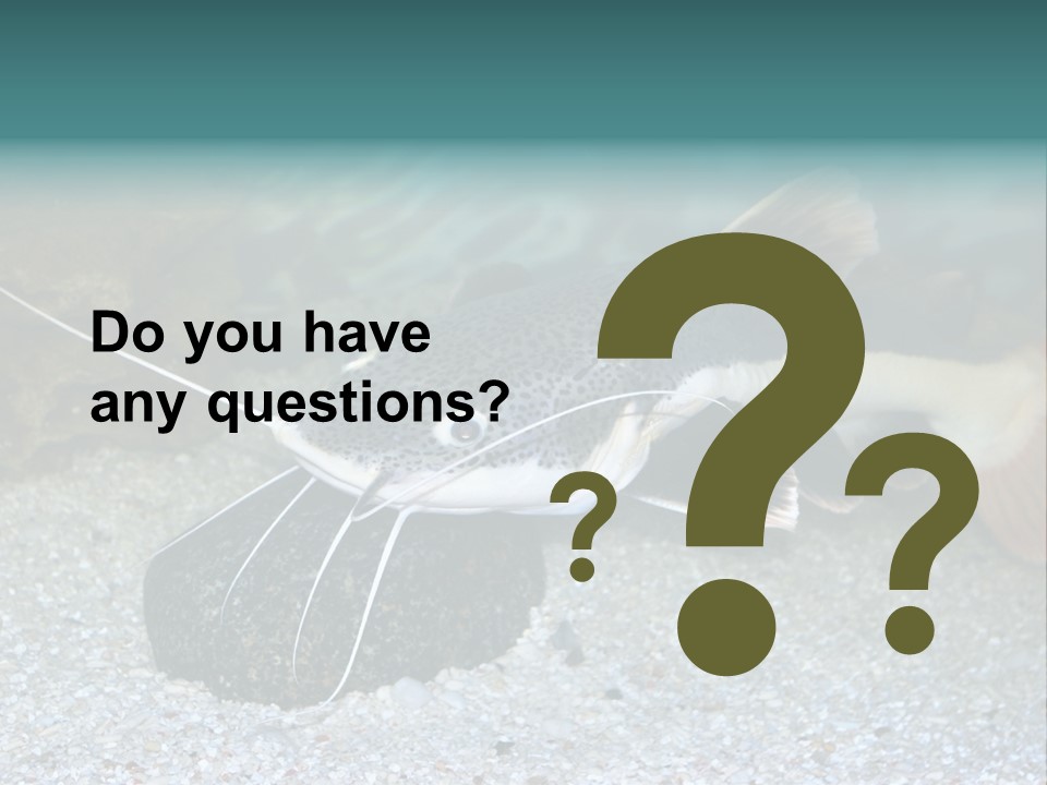 Teacher Creative Inspiration PowerPoint Template