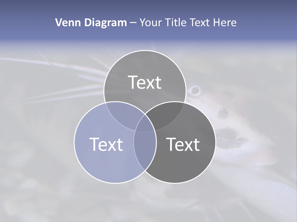 Space Business Businessman PowerPoint Template