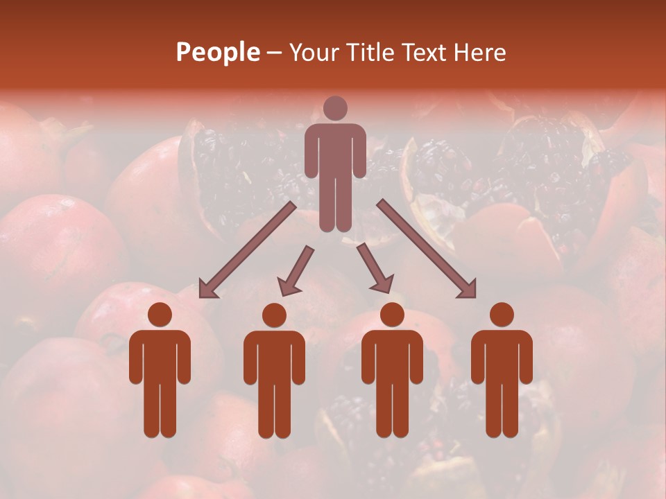 Solution Brainstorm Light PowerPoint Template