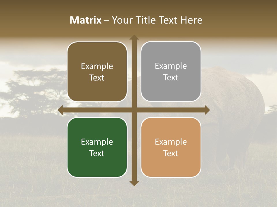 Horn Simum Pachyderm PowerPoint Template