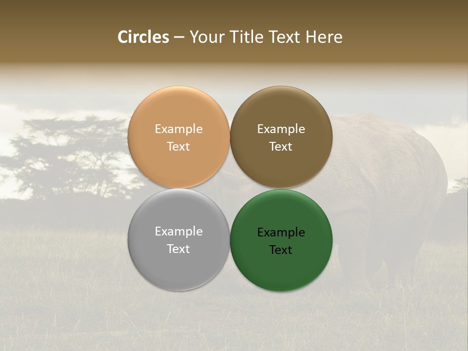 Horn Simum Pachyderm PowerPoint Template