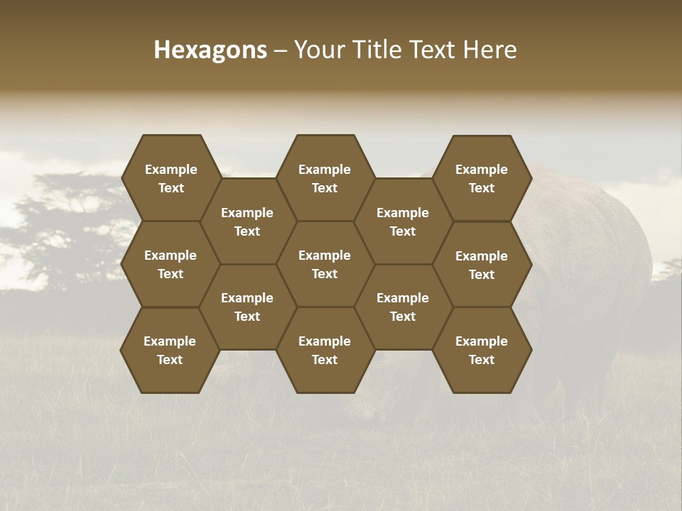 Horn Simum Pachyderm PowerPoint Template