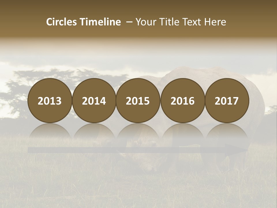 Horn Simum Pachyderm PowerPoint Template