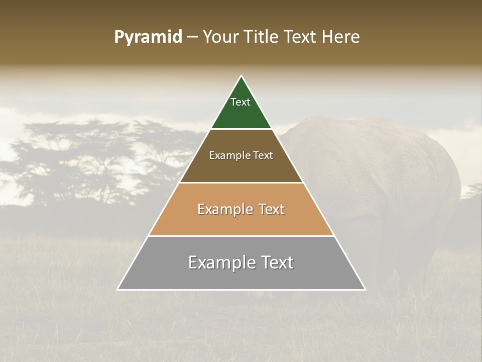 Horn Simum Pachyderm PowerPoint Template