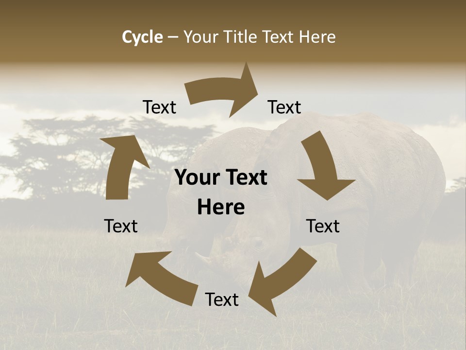 Horn Simum Pachyderm PowerPoint Template